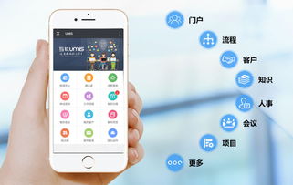 上?；ヂ摼W軟件集團 高端協同管理軟件與安全服務解決方案